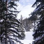1850 Courchevel